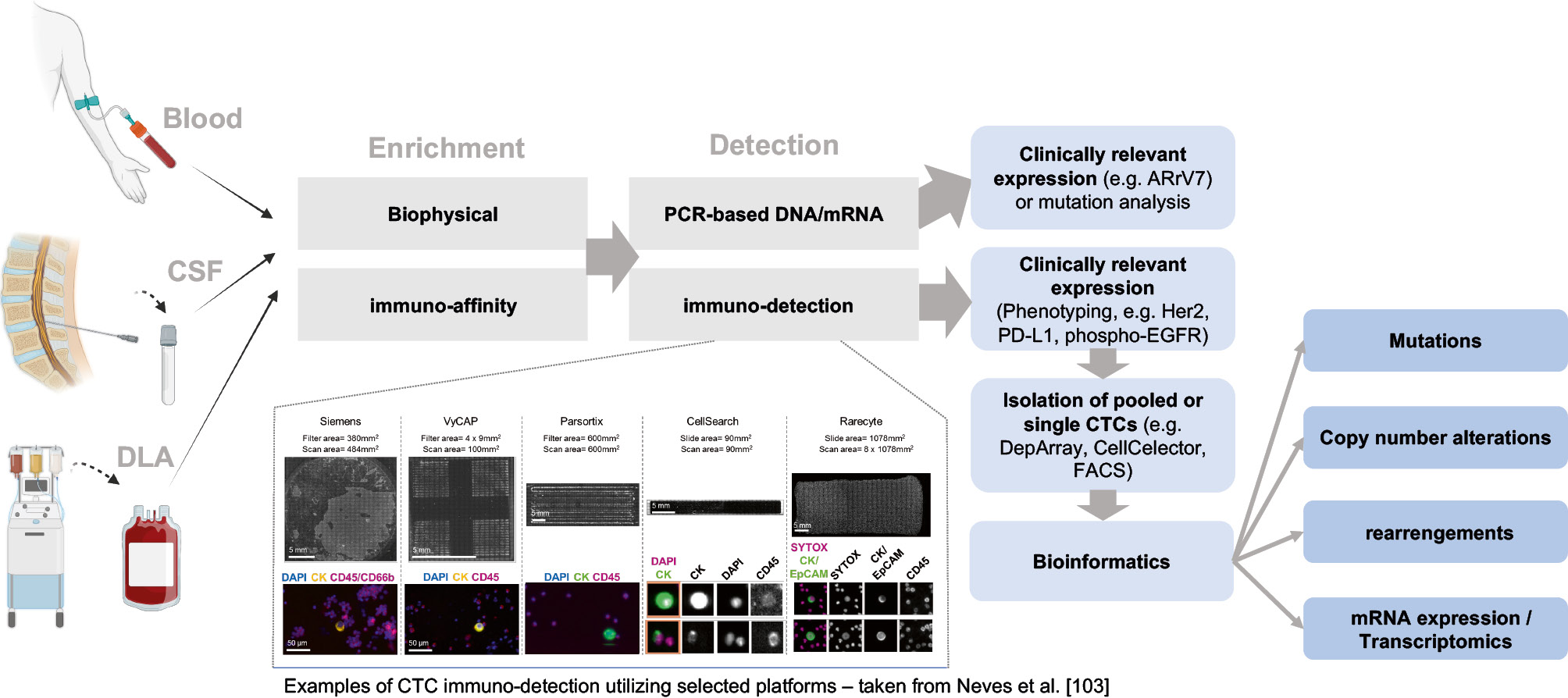 Figure 1: Overview of sample types processed wit CTC technologies and possibilities for subsequent analysis (designed with BioRender).