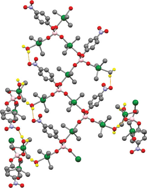 Figure 2 Representation of the resulting supramolecular structure of 1 highlighting the square-shaped macrocycle organization.