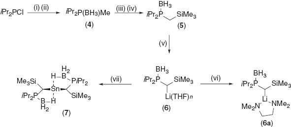 Scheme 1 Reagents and conditions: (i) MeMgBr, Et2 O, -78°C; (ii) BH3·SMe2; (iii) nBuLi, THF; (iv) Me3 SiCl, -78°C, THF; (v) nBuLi, THF; (vi) TMEDA, THF/Et2 O; (vii) Cp2 Sn, toluene.