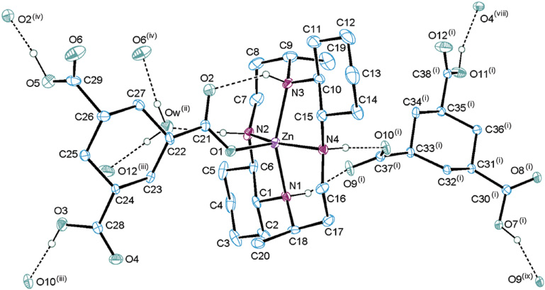 Figure 1: An ORTEP drawing (30% probability ellipsoids) of [Zn(L)( H2chtc-)]H2chtc-·H2O (1) with the atomic numbering scheme.The hydrogen bonds are shown as dashed lines. Symmetry codes: (#viii) x+2, y, z+1; (#ix) x+1, y, z+1.