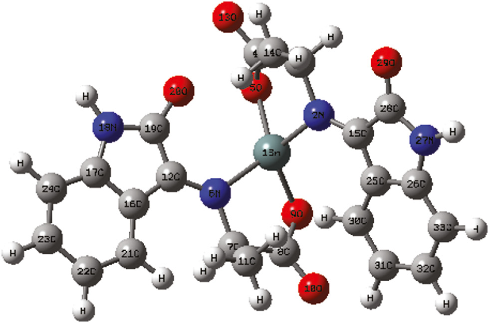 Figure 2: B3YLP/LanL2DL optimized geometry for the compound Sn(L1)2.