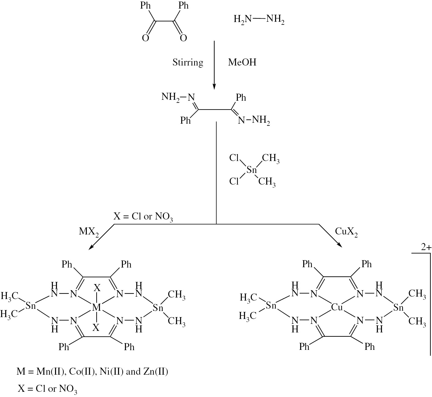 Scheme 1: Formation and suggested structure of tin(IV) macrocyclic complexes.