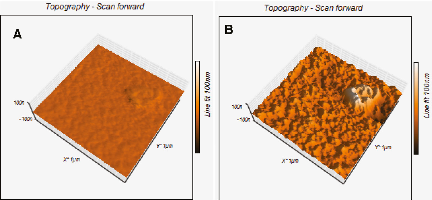 Figure 8: AFM images of premixed PVK:PBD:complex thin films with concentration ratios of 100:40:10 (A) and 100:40:20 (B).