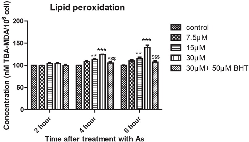 Figure 4 Induction of lipid peroxidation in human lymphocyte after incubation with As for 6 h. At 4 and 6 h following treatment, two higher concentration of As (15 and 30 μM) significantly (P < 0.05) increased MDA concentrations in human lymphocytes. BHT prevented As-induced increase in MDA levels. ** (P < 0.01) and *** (P < 0.001): significant difference compared to the control group. $$$: significant difference with 30 μM DBP.