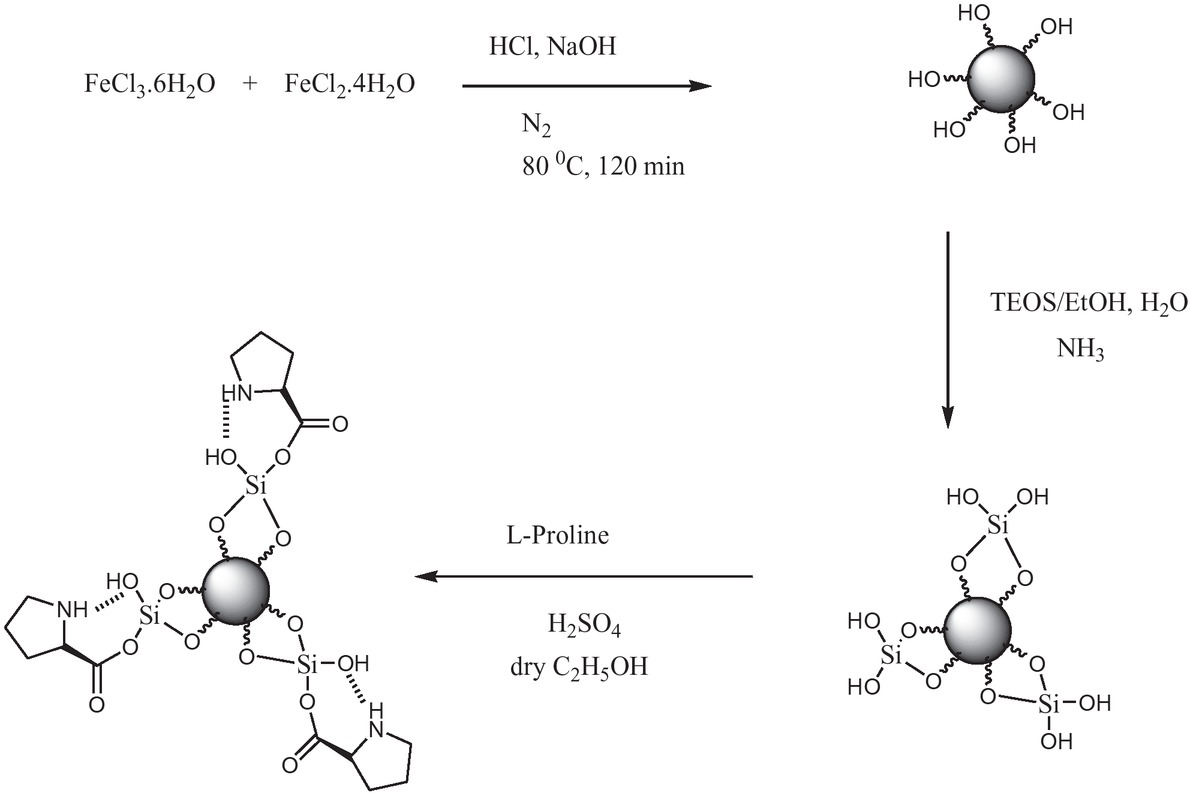 Scheme 2 Schematic illustration of the preparation Fe3O4@SiO2-L-proline nanoparticles.