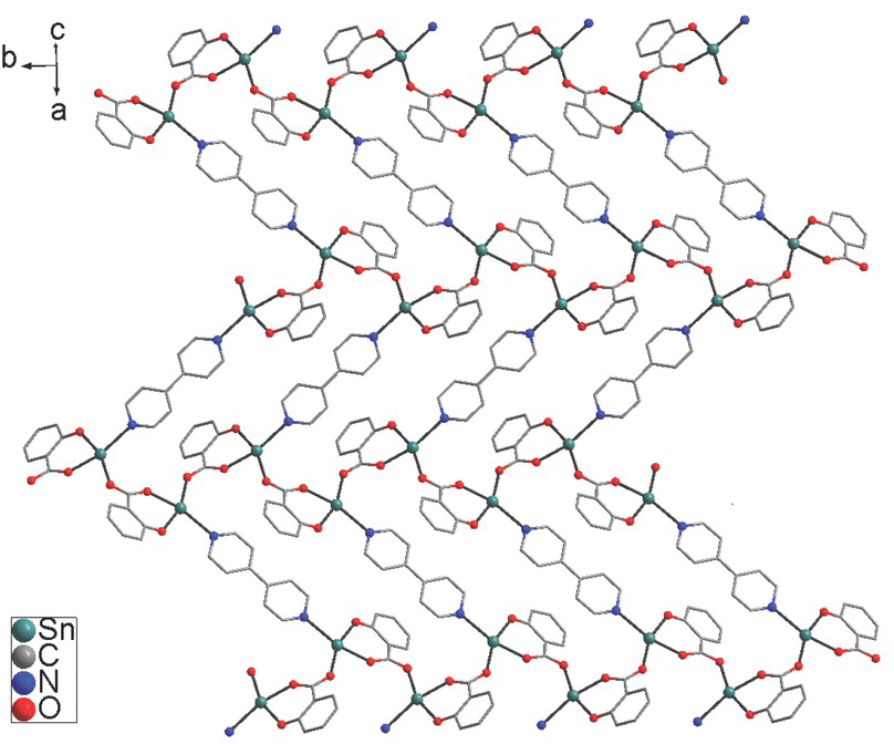 Figure 3 2D herringbone structure of 1 containing 34-membered hexa-nuclear macrocyclic rings. The nitro and butyl groups are omitted for clearity.