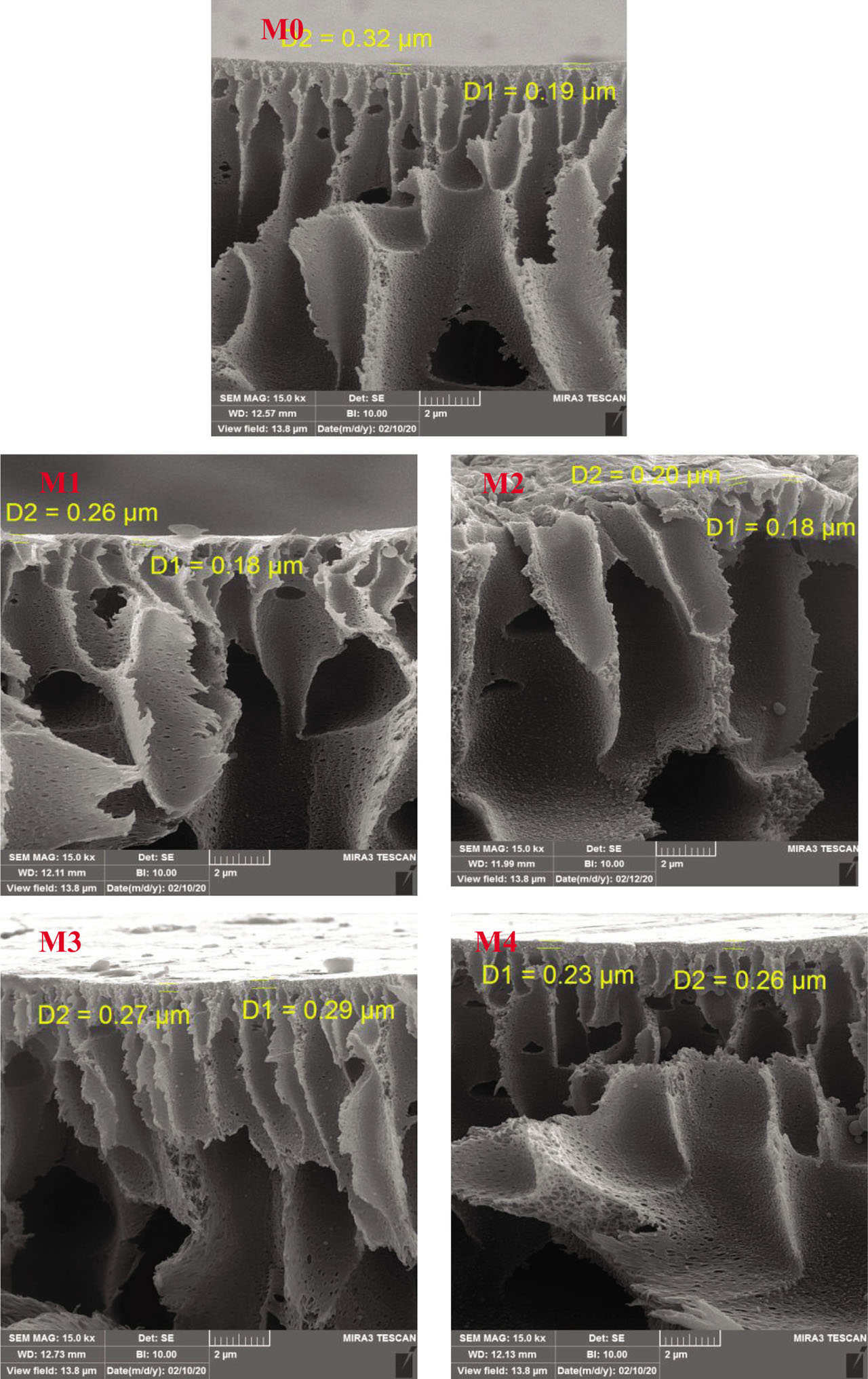 Figure 4 FESEM images of unmodified membrane (M0) and PES/CoFe2O4 membranes (M1–M4)..