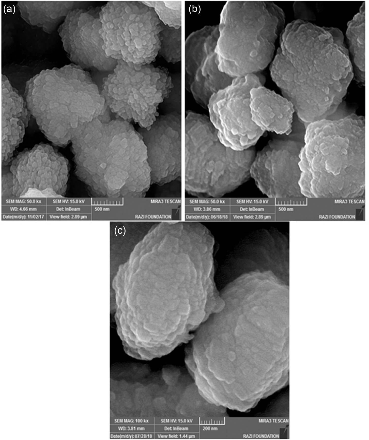 Figure 2 
               FE-SEM images of: (a) ZSM-5, (b) HPA-ZSM-5, and (c) the used HPA-ZSM-5.
            
