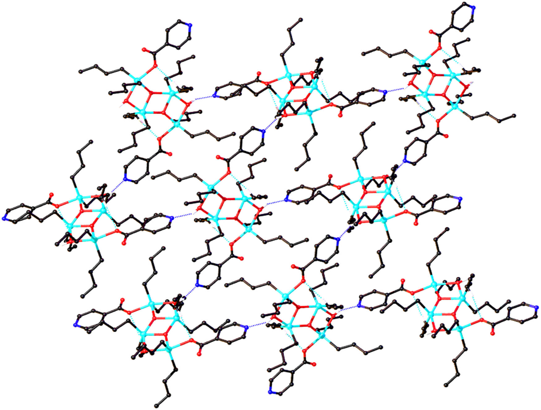 Figure 3 
                  Crystal structure in infinite chain of [C5H4N-(p-CO2)]2[Bu2Sn]4(μ
                     3-O)2(μ
                     2-OH)2 (1) with intermolecular hydrogen bonds O–H···N (color code: blue) and intramolecular hydrogen bonds C–H⋯O (color code: greenish). Only Cipso of the n-butyl groups are shown for clarity.
               