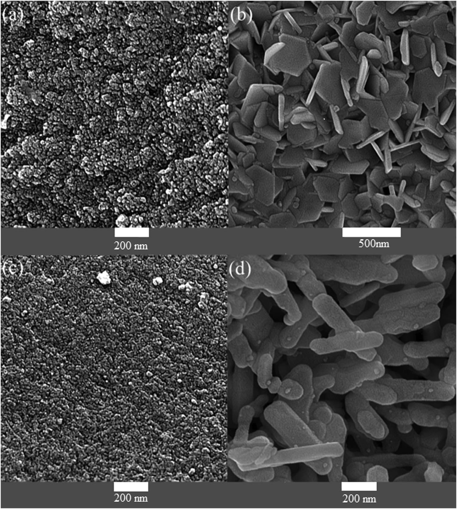 Figure 1 
               FESEM images of barium ferrite by (a) sono-chemical method and (b) microwave method. FESEM images of strontium ferrite nanoparticles by (c) sono-chemical method and (d) microwave method.
            