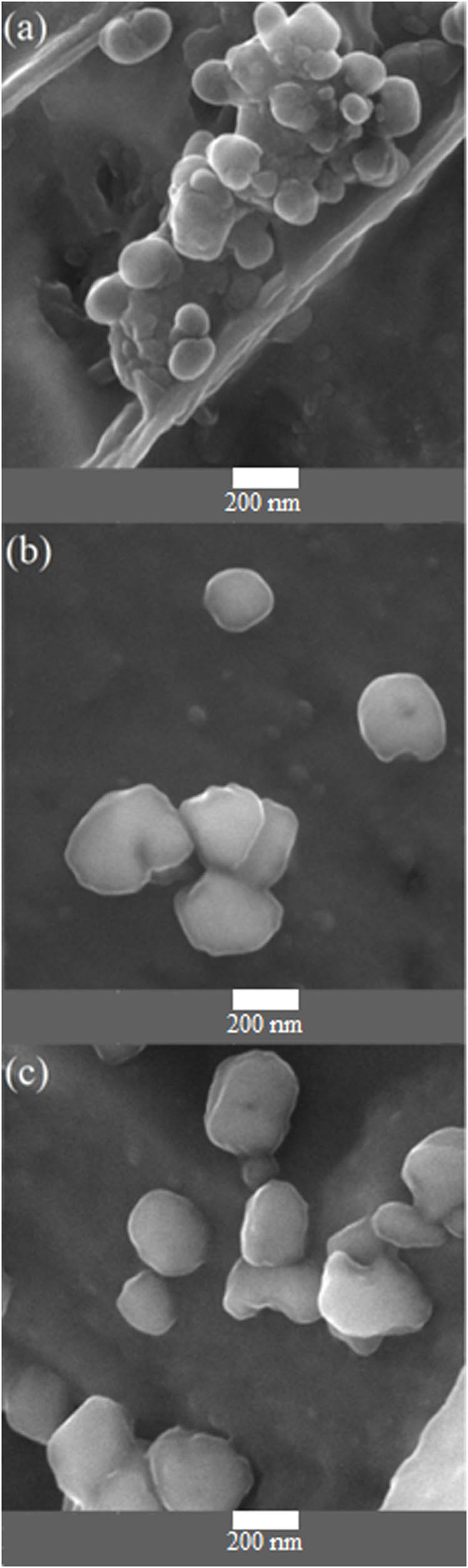 Figure 3 
               FESEM images of polyaniline-strontium ferrite with (a) 5, (b) 10, and (c) 20 cycles of electrodeposition.
            