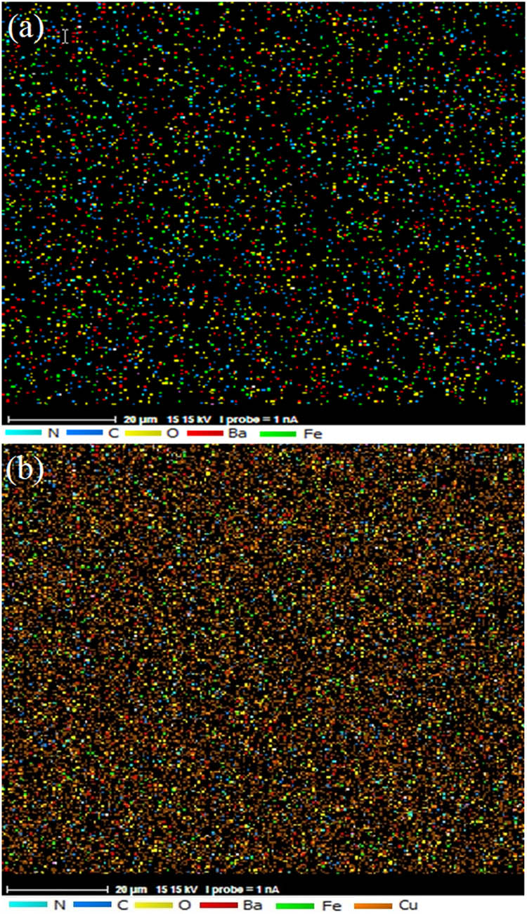 Figure 5 
               X-ray element distribution maps (MAP) analysis of (a) polyaniline/barium ferrite nanocomposite and (b) polyaniline-barium ferrite on the copper substrate.
            