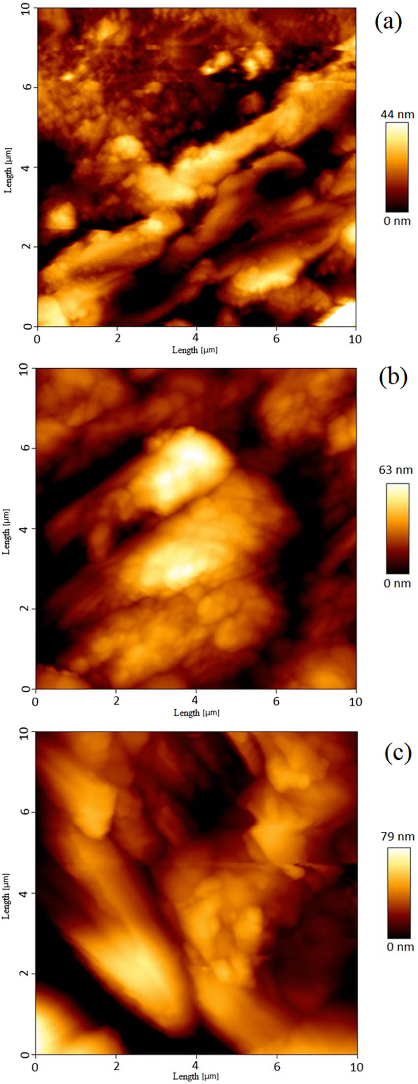 Figure 8 
               AFM images of thin layer of polyaniline/strontium ferrite nanocomposite with (a) 5, (b) 10, and (c) 20 cycles of deposition.
            