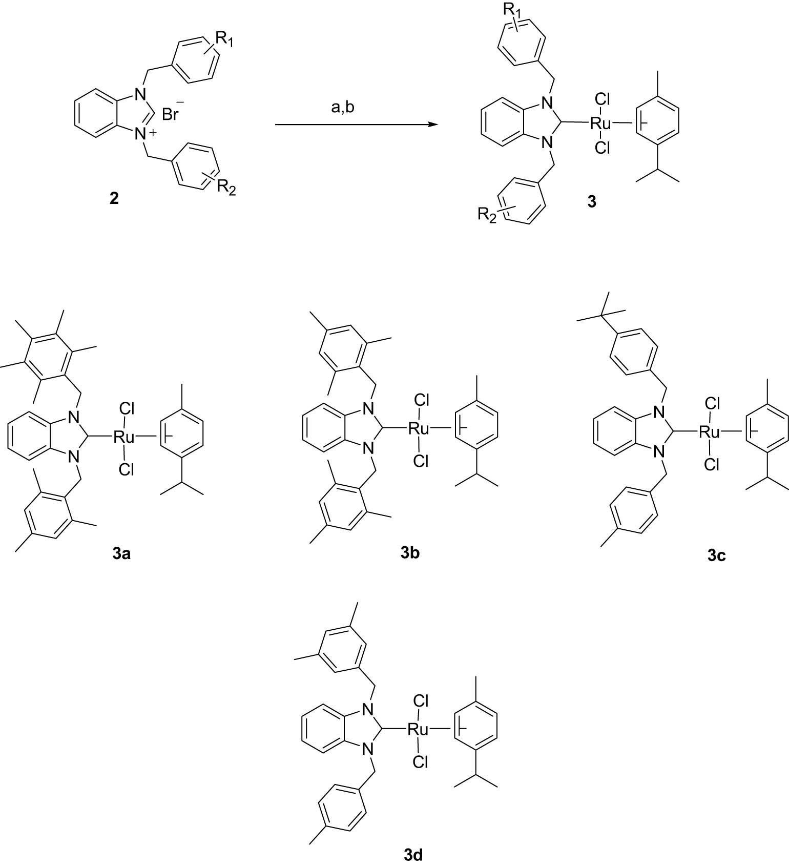Scheme 2 
                  Synthesis of NHC (p-Cym)Ru(ii)Cl2 complexes (3a–3d): (a) Ag2O and (b) [(p-Cym)RuCl2]2.
               