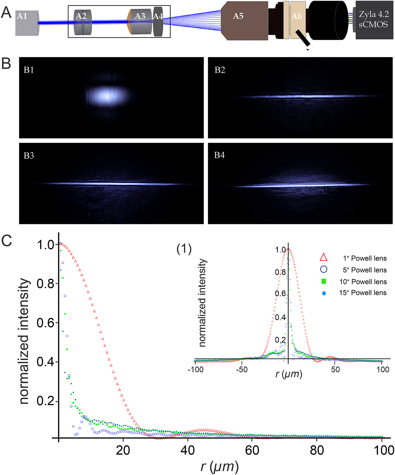 Figure 1: 
Effect of the fan angle of different Powell lenses on the intensity distribution of an incident Gaussian laser beam. (A) Experimental setup for measuring intensity distributions: (A1) 488 nm Sapphire laser with 200 mW power (Coherent Inc., Germany), (A2) Neutral Density Filters (NDFs, Thorlabs, USA), (A3) Powell lens with a fan angle of either 1°, 5°, 10°, or 15°, (A4) achromatic convex lens for guiding the altered beam into the entrance pupil of the detection objective without truncation, (A5) detection objective (Olympus XOL Fluor 4×, NA 0.28, WD: 29.25 mm, Japan), (A6) 3-position Trinocular Head U-TR30-2 (Olympus, Japan) with attached C-mount adapter connected to a Zyla 4.2 sCMOS camera (Andor, UK). (B) Transversal intensity distributions (XY plane) of Gaussian laser beams after passing through Powell lenses with different fan angles. (B1–B4) demonstrate the beam profiles altered by passing through Powell lenses of 1°, 5°, 10°, and 15°, respectively. (C) The 2D-beam distributions (related to the thinness of the light distribution along the Y-axis of reshaped laser beams depicted in (B)), were measured over a range of ±100 µm away from the beam waist. For better clarity and precision (C) only shows one-half of the intensity distribution. The Inlay (1) represents the entire profile.
