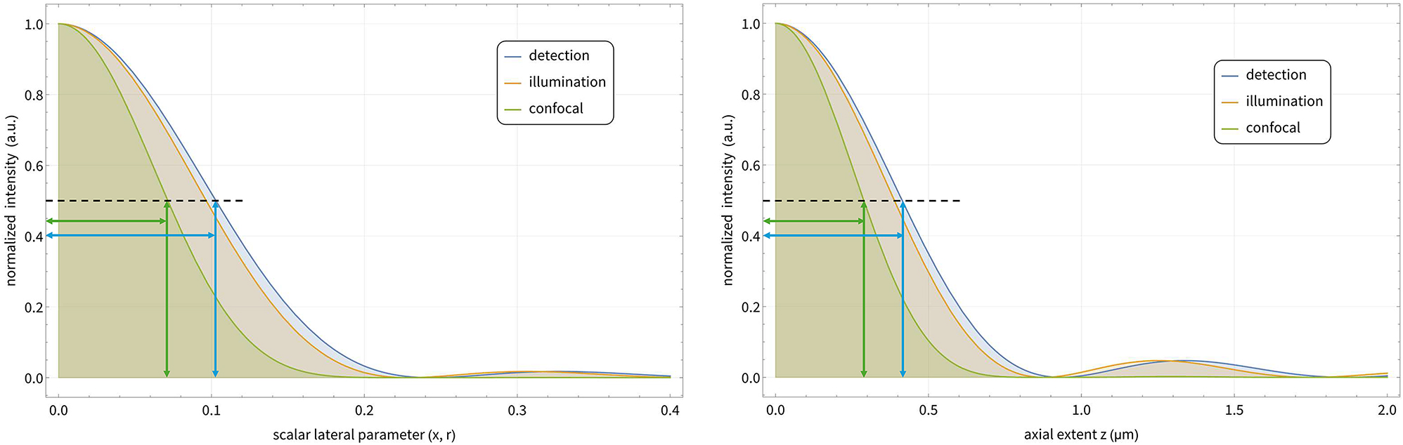 Figure 4: 
Characterizing lateral and axial extents of the PSFs. Both graphs show the meridional detection, illumination, and confocal intensity variations. The inserted lines indicate the locations of the FHWM of the illumination and detection PSFs. The respective ratios of the lateral and axial FWHM are about 


1
/


2




$1/\sqrt{2}$



.
