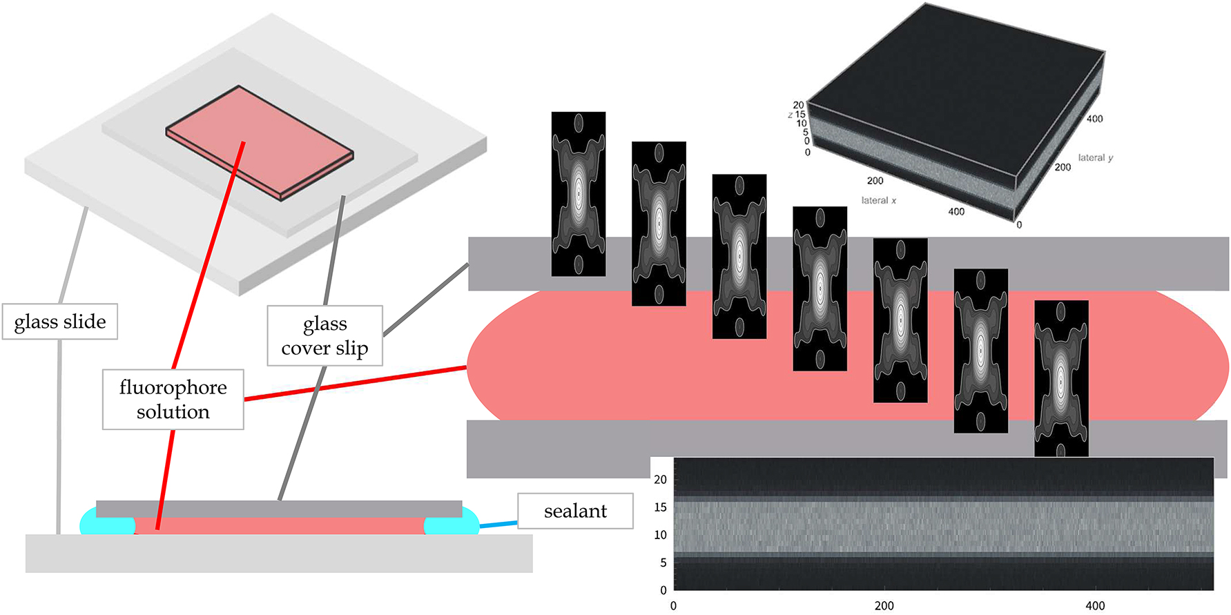 Teaser image from the article