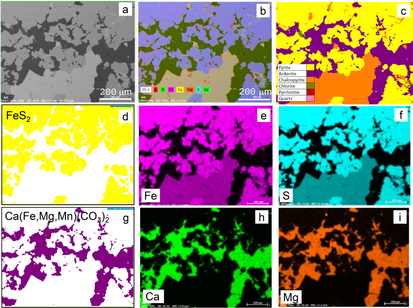 Teaser image from the article