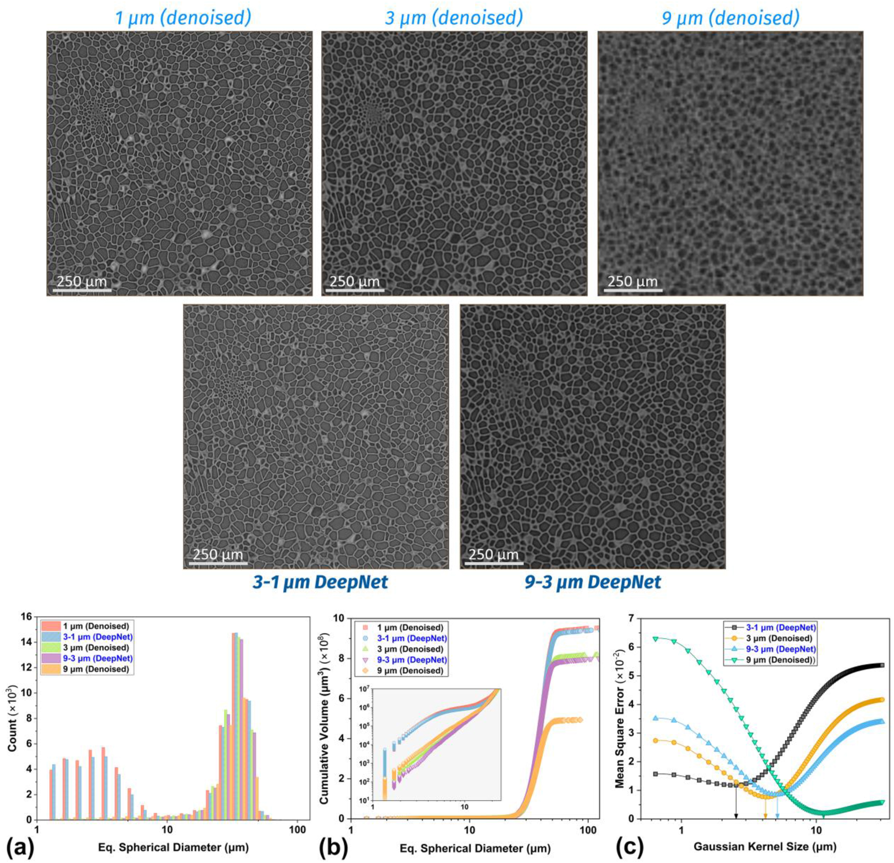 Figure 12:
A comparison of the reconstructed slices of the seed datasets with DL-denoising (top row) and DeepNet training (bottom row). The (a) pore size distributions show that the smaller pores were recovered with the 3–1 um training due to better feature correlation but were absent for the 9–3 um training. A similar behavior can be found for the (b) total pore volume. The (c) Gaussian fit analysis shows the improvement in the effective spatial resolution because of DeepNet training.