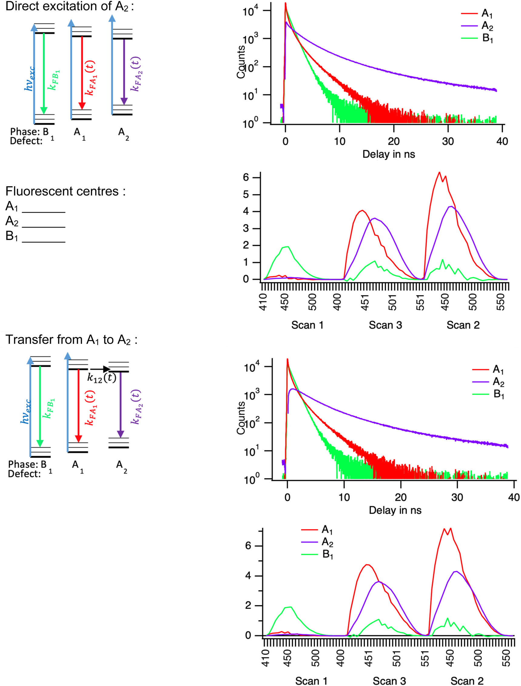 Figure 15: 
At least two models can be proposed do describe the data of the time resolved spectra: direct excitation is represented in the top half, with its Jablonsky diagram, the population decays and the species spectra. In the bottom half, the transfer model is presented.

