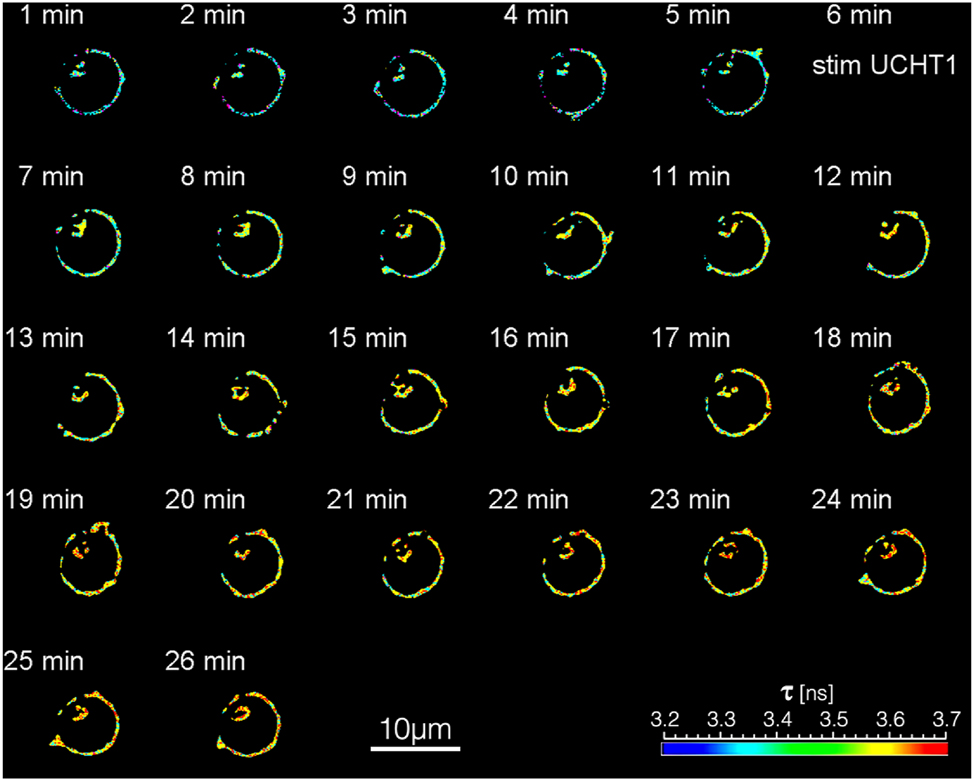 Teaser image from the article