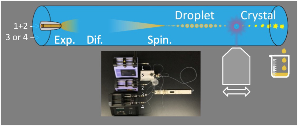 Figure 1: 
The microfluidic setup for the observation of antisolvent precipitation. After the injection of a concentrated solution of the solute by the nozzle, a hydrodynamic expansion of the flow is observed over 50 μm “Exp.”. It is followed by an interdiffusion of the solvent and anti-solvent “Dif.”. The solute is repelled and concentrated until it reaches the spinodal concentration “Spin.” a few mm away where the liquid phase appears in a barrierless process [6]. Crystallization of the droplets occurs later. A picture of the microfluidic device is displayed. The two syringe pumps 1 and 2 are used to adjust the flow rate and the composition of the solute solution that flows through the nozzle. A double syringe pump with two syringes (3) and (4) and a 6-port valve (5) are used to flow the anti-solvent in the capillary and replace it by the solvent in order to wash the device as soon as crystals start to grow on the wall. The two other syringe pumps are used to adjust the flow rate and the composition of the solute solution.
