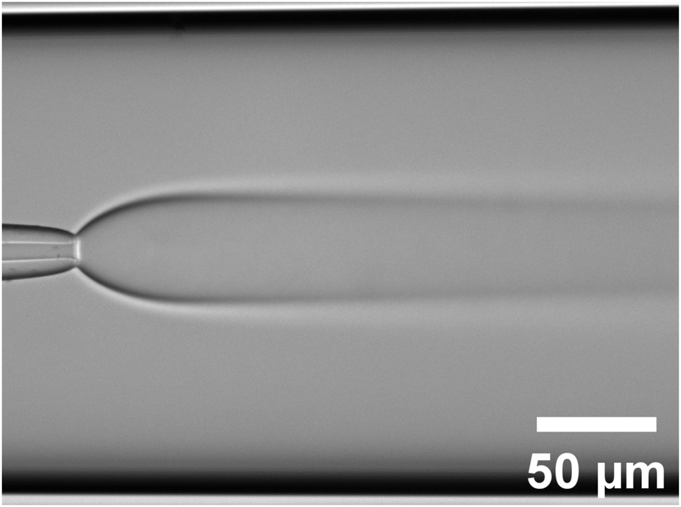 Figure 2: 
The injection nozzle (5 µm inner diameter) is centered inside the cylindrical capillary (200 µm inner diameter). The 1,4-Dioxane solution is injected at a rate of (400 nL/min) into water (1 μL/min). The initial expension of the inner flow is followed by the interdiffusion of the two solvents. The contrast in this transmission image is due to the gradient of refraction index in the shadowgraph illumination mode.
