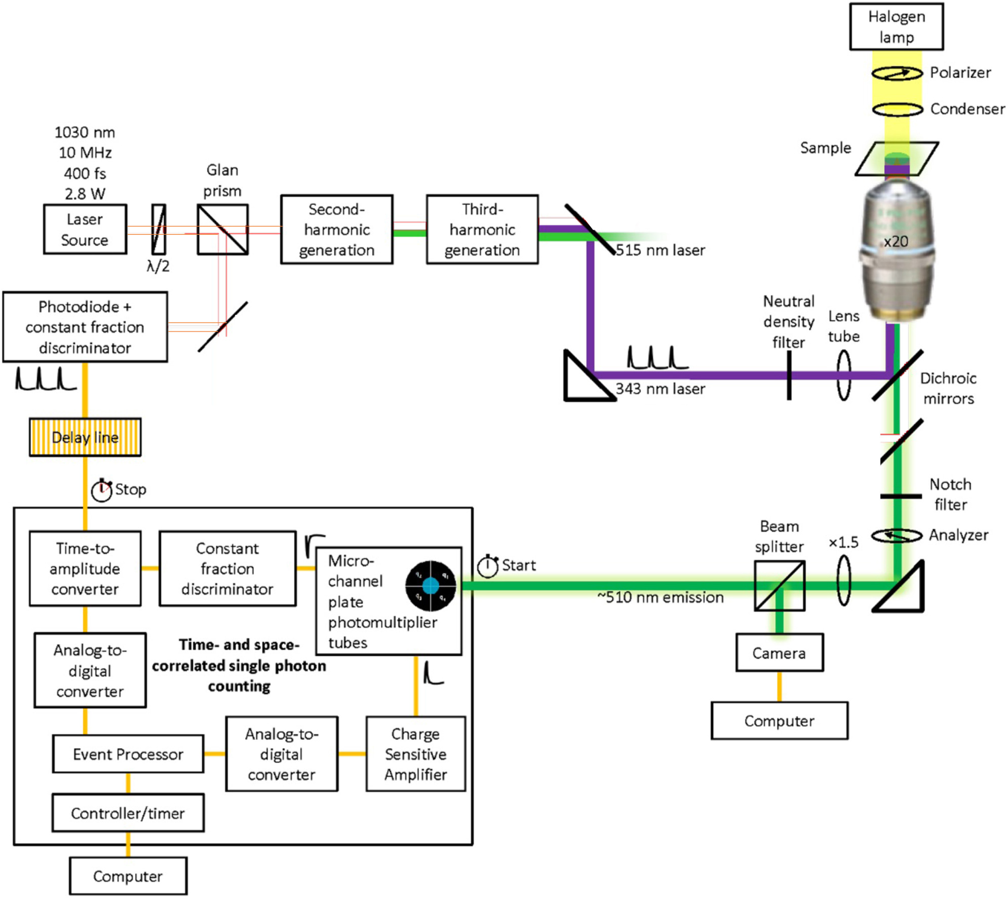 Figure 4: 
Space and time localised single photon counting. The third harmonic of a pulsed Ytterbium tungstate laser is used to shine uniformly the fluorescent sample. The LINCam time and space resolved single photon counting detector collects and stores all the emitted photons with their fluorescence delay (<100 ns) and absolute arrival time (>100 ns).
