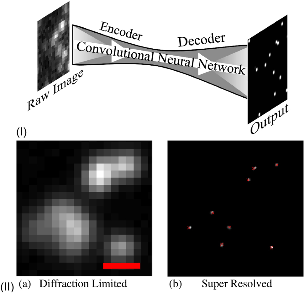 Figure 5: 
The encoder-decoder CNN Deep-STORM. (I) Simple depiction of the Deep-STORM model for super resolution. (II) Examples of the diffraction limited input images (a) and a super-resolved result (b) [12].
