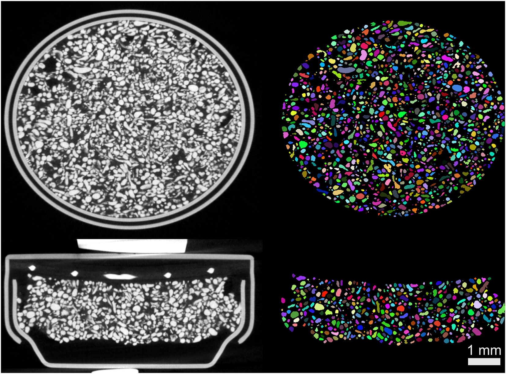 Figure 6:
The segmentation results. Note that the delineated particles are assigned with random colors.