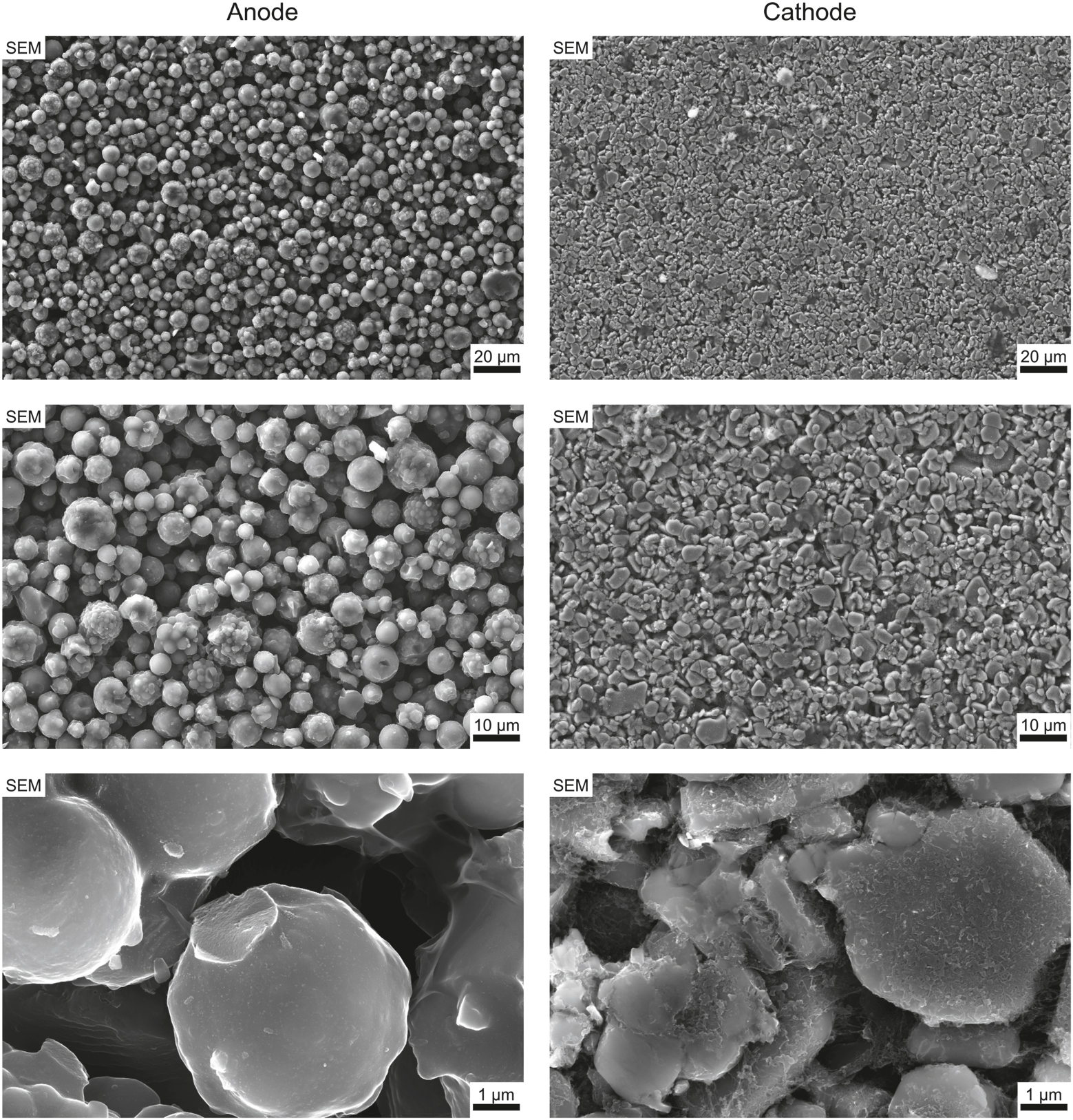 Figure 4:
SEM in-lens images depicting the morphology of anode and cathode particles at increasing magnifications. Unlike typical lithium battery materials, the anode consists of round, spherical particles, while the cathode exhibits plate-like structures.