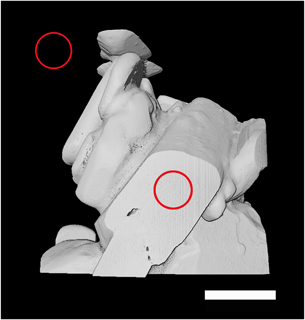 Figure 3:
XRM image of a crystal of Cu(NO3)2·6H2O used for calibration. The positions of the two VoIs are marked by the red circles on the image. Scale bar is 200 μm.