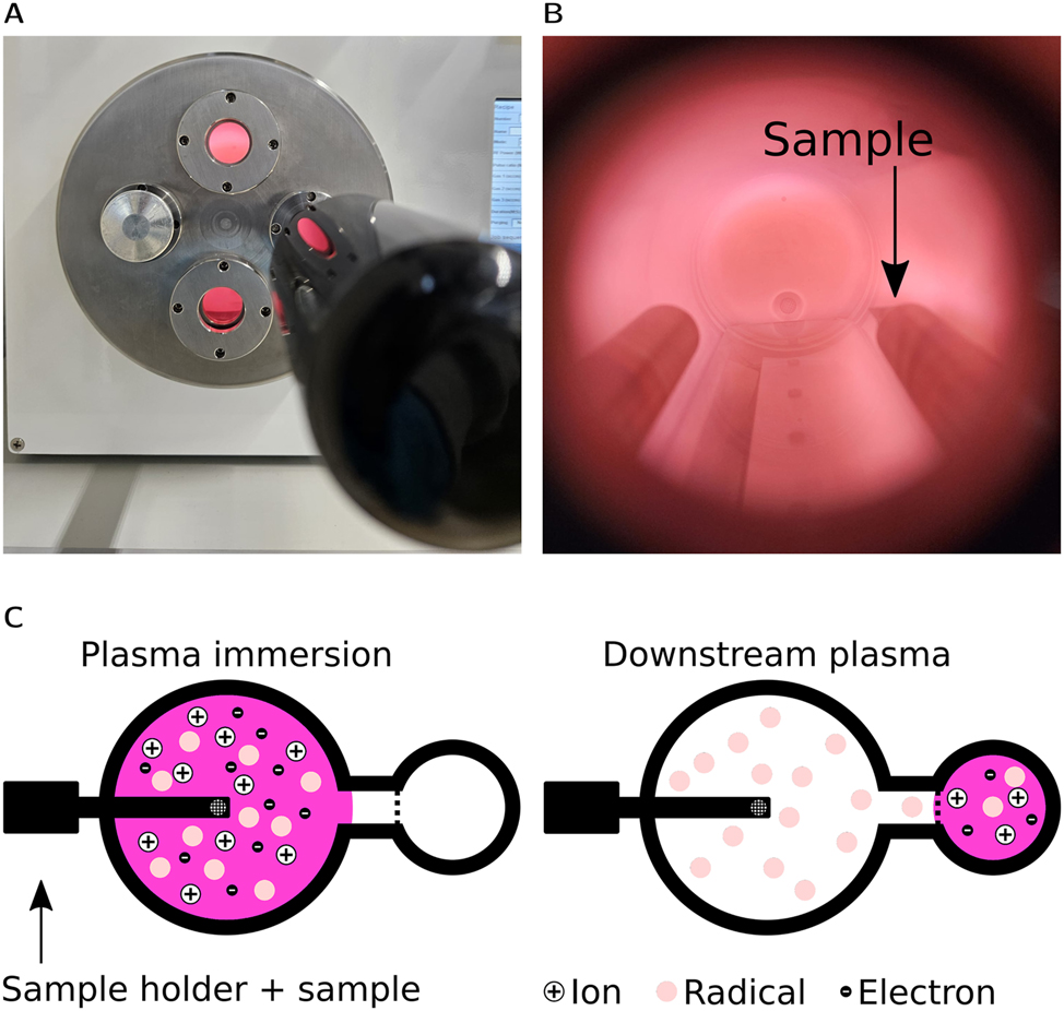 Figure 3: 
(A) Image of the plasma cleaner used in this work, with N2 plasma running and inserted TEM holder. (B) View through the window of the plasma cleaner, showing sample position. (C) Schematic drawing of immersion plasma mode (left) that is used to dope the sample and downstream plasma mode (right) that is used to clean the sample.
