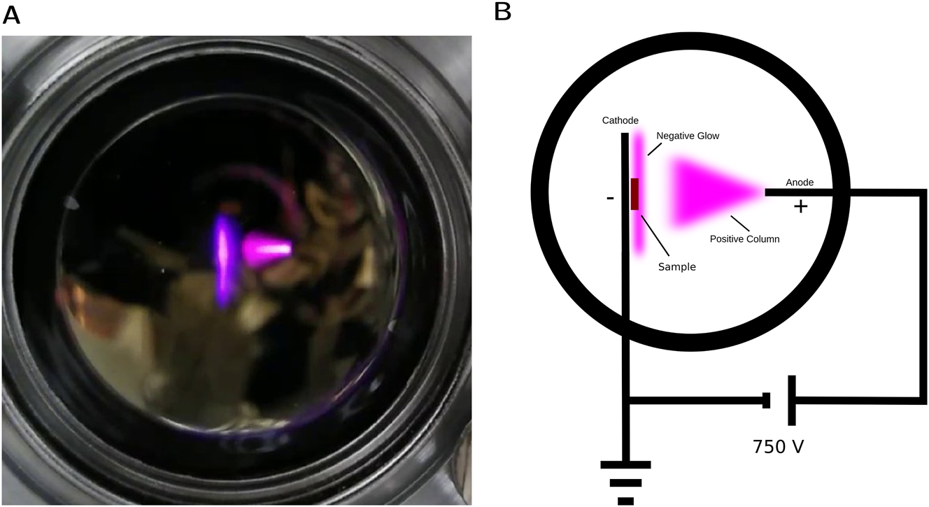 Figure 4: 
(A) Glow discharge inside DC plasma chamber at 6.5 mbar pressure and 750 V. (B) Sketch of observed glow discharge, showing electrical contacting and sample position.
