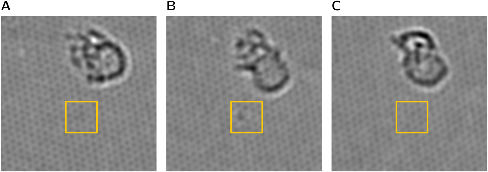 Figure 9: 
Observation of contrast change at position of a graphitic nitrogen defect, which is marked by the yellow box. Images show the nitrogen before (A), during contrast change (B) and afterwards (C). A slight Gauss blurring was applied to emphasize the change in contrast.
