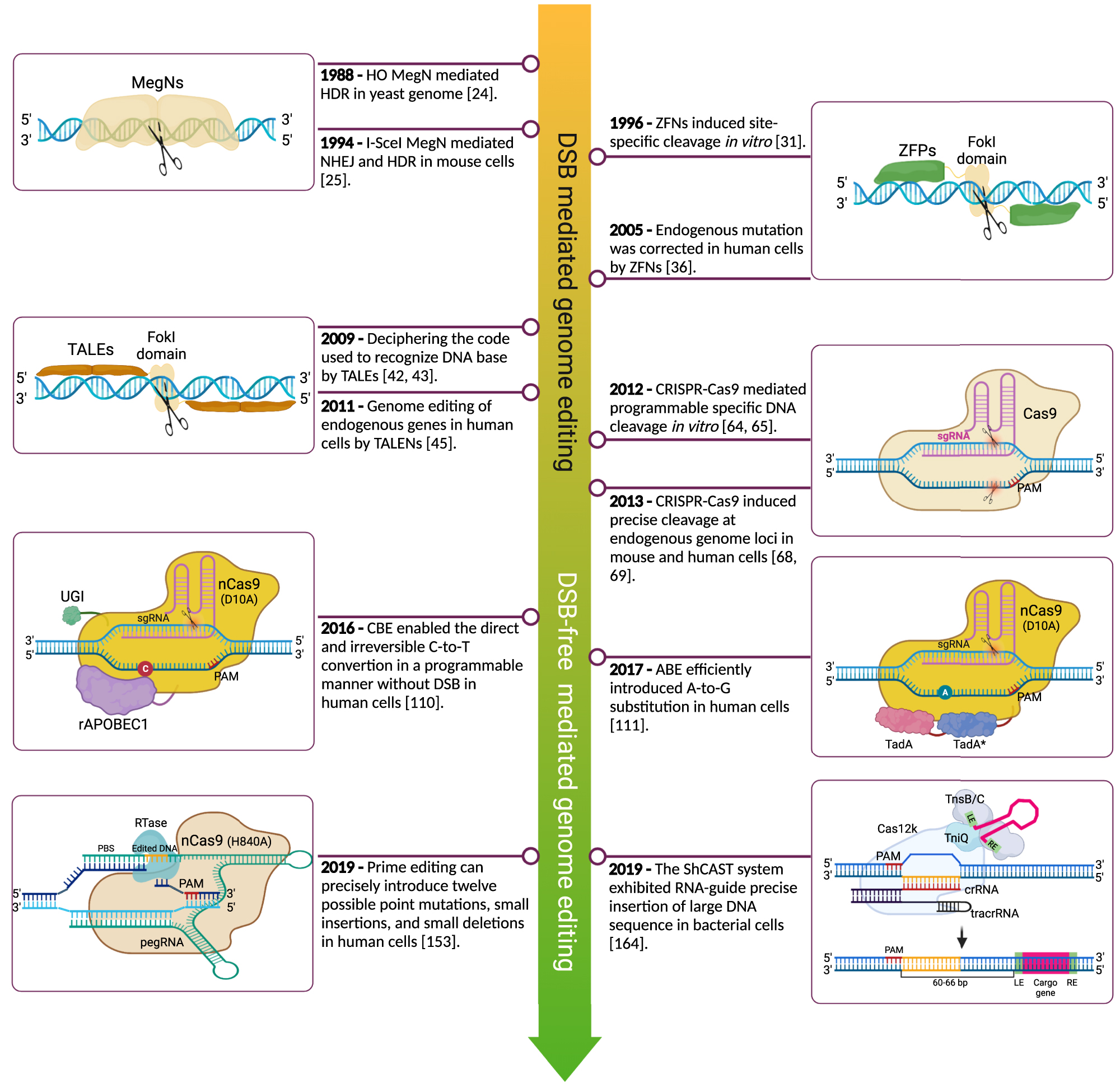 Figure 1: 
Timeline of the genome editing methods. The significant genome editing events from meganucleases mediated DNA double-strand breaks to transposases induce targeted insertions. After the emergence of CRISPR-Cas9 technology in 2012, it opened a new era of genome editing and derived a series of new agents that can efficiently rewrite the genome DNA. CRISPR-Cas9, clustered regularly interspaced short palindromic repeats-CRISPR-associated protein 9.
