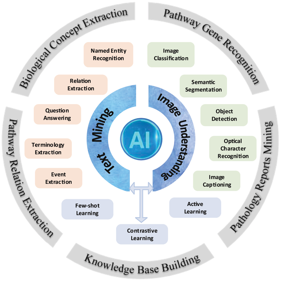 Figure 1:
Scope of AI technologies in biomedical literature mining. The figure comprises two panels that showcase the different directions and applications of AI in text mining (on the left) and image understanding (on the right). The left panel features red boxes that outline the various tasks involved in text mining, while the right panel highlights green boxes that represent the tasks of image understanding in the context of biomedical literature mining. Additionally, the figure includes blue boxes that enumerate some promising AI advances aimed at addressing the limitations of current AI methods for biomedical literature mining. The figure’s outer circle depicts some typical AI applications in biomedical literature mining. AI, Artificial Intelligence.
