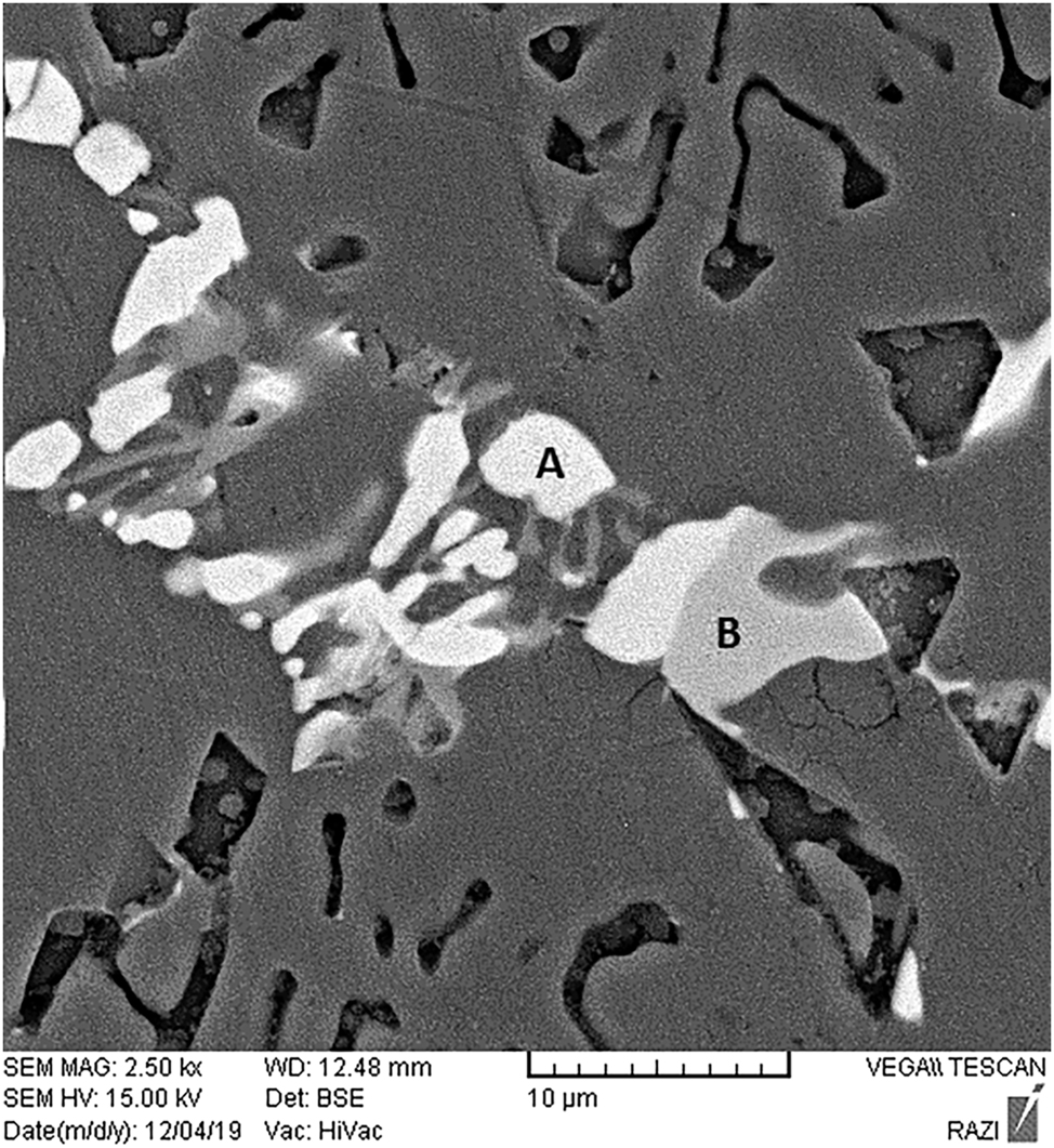 Figure 5: 
SEM micrograph showing Q-phase (Area A) and θ-phase (Area B) in the microstructure of Al–15Mg2Si composite.
