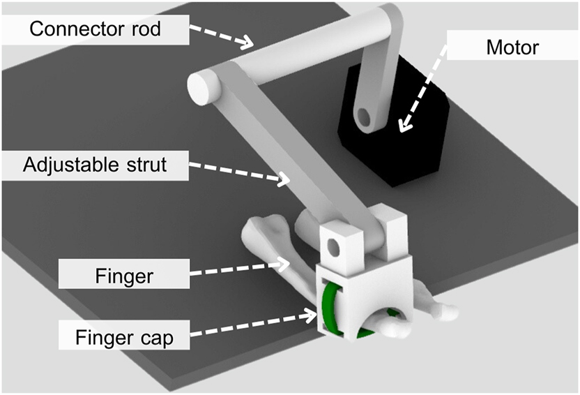 Figure 3: 
Biomechanical testing apparatus to investigate wear and longevity of finger joints.
