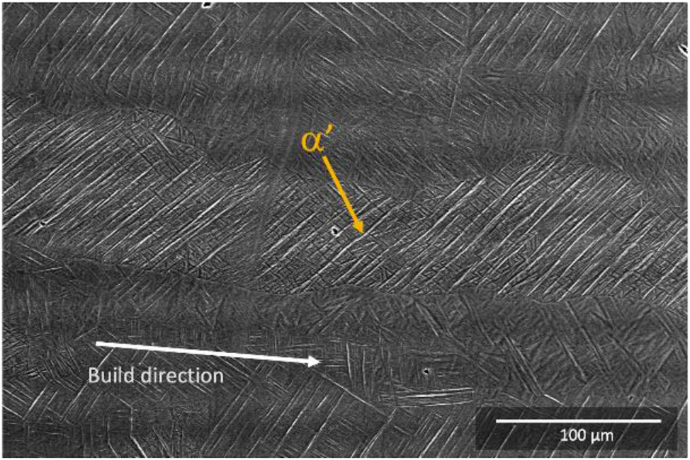 Figure 4: 
Secondary electron micrographs of as-printed Ti6Al4V ELI specimen revealed the microstructure consisting of two phases, which are the α′ phase as fine acicular martensite needles inside the prior β grain that formed along with build direction.
