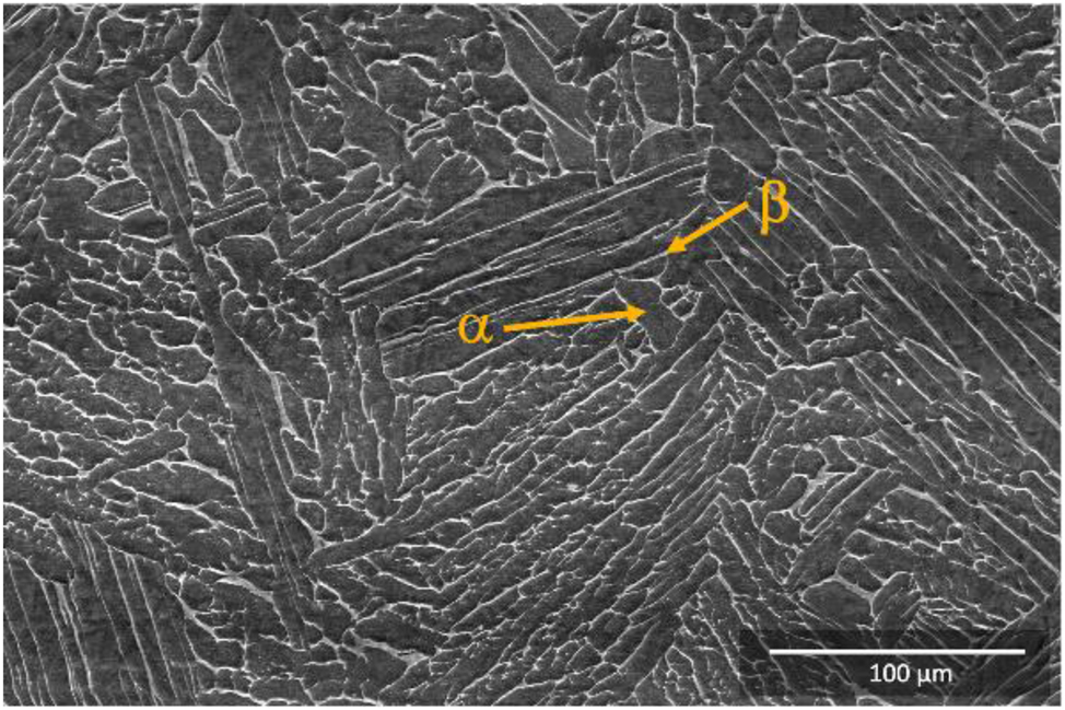 Figure 5: 
Secondary electron micrograph of heat treated Ti6Al4V ELI (the dark regions were α phase and the lighter regions were β phase along the grain boundary, there is no longer textured orientation and in overall the microstructure was fully dense and free of defects).
