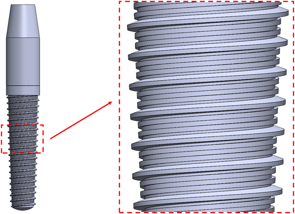 Figure 6: 
Geometric design and thread detail of the implant model.
