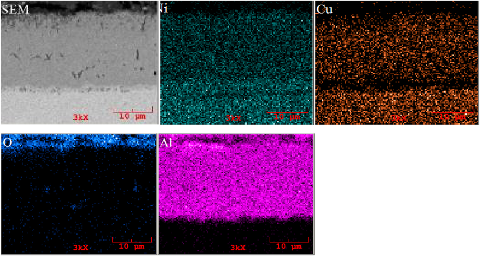 Figure 3: 
SEM and EDS analyses of 650 °C–6 h aluminized Monel 400 alloy.
