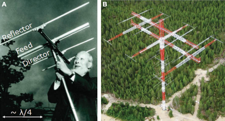 Figure 1 (A) Typical RF Yagi-Uda antenna held by one of its inventors Hidetsugu Yagi. The antenna has one reflector and two directors. The arrow shows how the length of the antenna elements is related to the incident wavelength λ. Adapted with permission [8]. Copyright 2010, Nature Publishing Group. (B) Radio Arcala “Mammoth” 160/80 m directional Yagi-Uda antenna built in Finland by amateur radio operators. Each of the four guy wires of the antenna extends 120 m from the tower representing an area of 170×170 m. The total tower height and the antenna weight are 100 m and 39.6 tons, respectively. Adapted with permission: www.radioarcala.com.