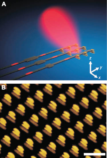 Figure 5 Phased array of optical Yagi-Uda nanoantennas. (A) Artists view of a 3×3 Yagi-Uda nanoantenna array fed by phase modulating feeding circuits. (B) Scanning electron microscopy image of an optical Yagi-Uda nanoantenna array. The gold structure is fabricated on a glass substrate. The nanorods are embedded in photopolymer. Scale bar is 500 nm. Adapted with permission [14]. Copyright 2011, Nature Publishing Group.