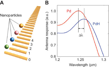 Figure 14 (A) Schematic of a broadband plasmonic array Yagi-Uda nanoantenna consisting of metal nanorods of varying length. Active nanoparticles are placed in close vicinity of the nanorods. (B) Optical sensing principle using the nanoantenna interacting with only one active palladium nanoparticle placed at the excitation site n=1. A change in the optical properties of the nanoparticle on exposure to hydrogen (Pd to PdH) causes a resonance shift (Δλ) in the optical response of the nanoantenna.