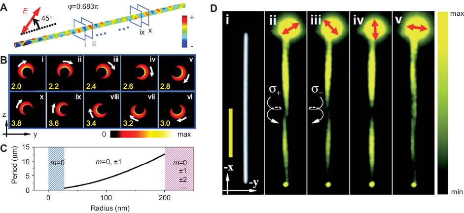 Figure 8 Chiral SPPs (A) Surface charge density plot on a Ag nanowire. The maximum value of the surface charge was truncated at the incident end to better show the plasmon modes on the wire. The length of the simulated nanowire (R=60 nm) is L=5.0 μm and the incident polarization angle is θ=45° in (A) and (B). (B) Time-averaged power flow in the yz plane at different positions along the nanowire, where x=2.0–3.8 μm (i–x) in steps of 0.2 μm, indicated by the blue frames in (A). The white arrows highlight the rotation of electromagnetic energy as a function of position along the nanowire, showing right-handed chiral SPPs. (C) Periods of the plasmon helix, Λ, as a function of nanowire radius. The blue region denotes the single mode-dominant regime and the magenta region denotes the multimode regime. (D) (i) Optical image of a Ag nanowire. The scale bar is 5 μm. (ii, iii) Quantum dot fluorescence images of right-handed (ii) and left-handed (iii) SPPs, respectively. The white helical arrows highlight the handedness of the plasmon helix. The wavelength of the laser light for excitation is 632.8 nm [44].