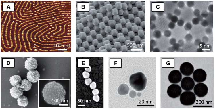 Figure 1 Self-assembled MMs exhibiting long-range (A)–(C) and short-range order (D)–(G). (A) Scanning force micrograph of spherical TiO2 NPs self-assembled by block-copolymers. Reprinted with permission from Ref. [11], ©2011 by American Chemical Society (ACS). (B) Scanning electron micrograph (SEM) of self-assembled Ag truncated octahedral NPs by sedimentation. Reprinted with permission from Ref. [32], ©2011 by Macmillan Publishers Limited. (C) Transmission electron micrograph (TEM) of a self-assembled dodecagonal quasicrystal made of a binary mixture of Au und Fe2O3 NPs. Reprinted with permission from Ref. [34], ©2009 by Macmillan Publishers Limited. (D) SEM image of plasmonic core-shell clusters made of Au NPs self-assembled to dielectric core spheres by electrostatic forces. Reprinted with permission from Ref. [63], ©2011 by ACS. (E) SEM image of a self-assembled Au NP chain using DNA. Reprinted with permission from Ref. [46], ©2011 by ACS. (F) TEM image of Au NPs self-assembled into a chiral pyramidal structure by DNA. Reprinted with permission from Ref. [49], ©2011 by ACS. (G) TEM image of an Au heptamer cluster self-assembled by evaporation. Reprinted with permission from Ref. [35], ©2010 by American Association for the Advancement of Science (AAAS).