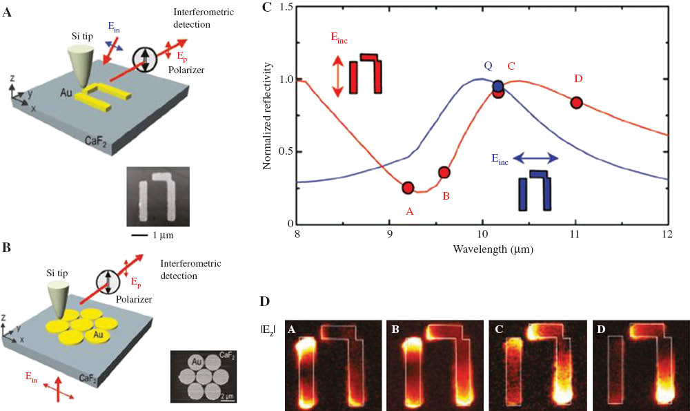 Figure 6 NSOM images of Fano interference and intensity toggling in infrared meta-surfaces. (A, B) Spatially-symmetric plasmonic heptamers (A) and asymmetric pi-structures (B) are imaged using tunable CO2 laser. (C) Polarized reflectivity from the π–structures. Vertical polarization reveals far-field Fano interference around λ≈10 μm. (D) Fano interference manifests in the near-field as intensity toggling: the left antenna is bright at the spectral point A and dark at the spectral point D. From Ref.[ 36].