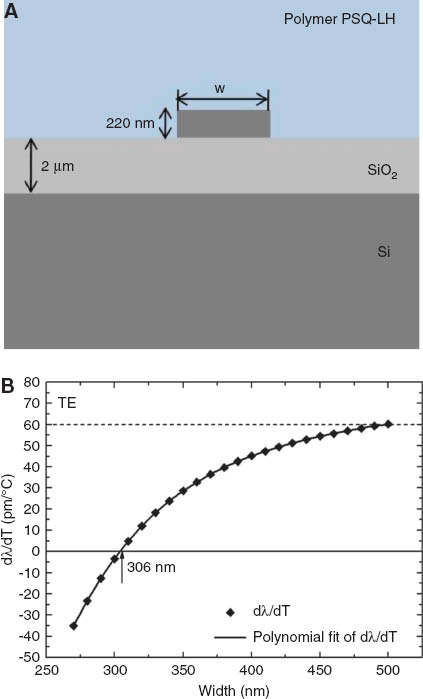 Figure 3 (A) cross-section of a SOI waveguide with polymer overlay. (B) Calculated wavelength temperature dependence of the TE mode as a function of waveguide widths. Reprinted with permission from Ref. [24], copyright (2009) OSA.